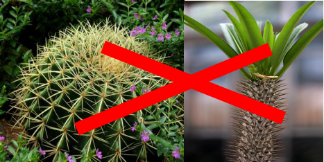 The limits of stainless steel ring mesh gloves